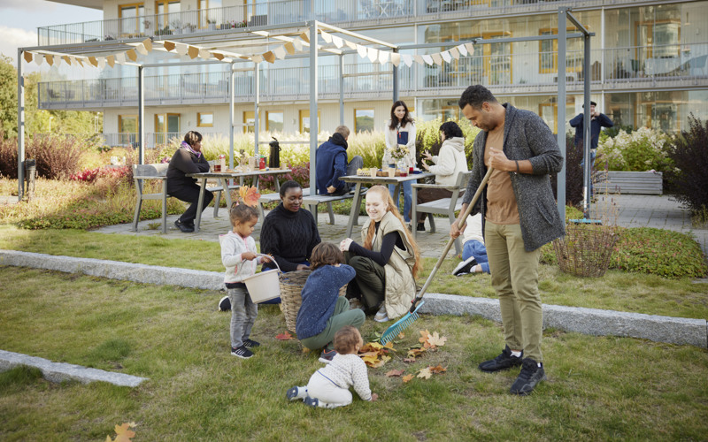 Pooler, studsmattor och grillning