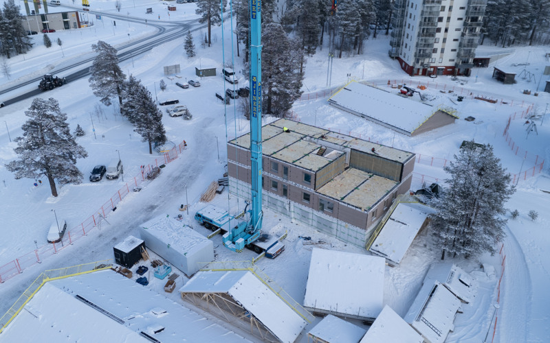 Tallen växer upp snabbt