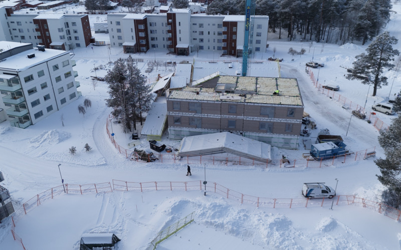 Tallen växer upp snabbt