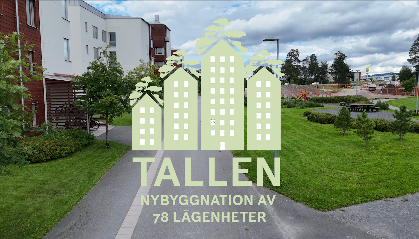 Tallen, från grus till trähus