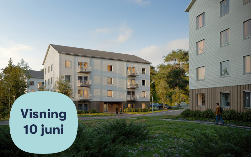 Välkommen på öppen visning av Tallen den 10 juni