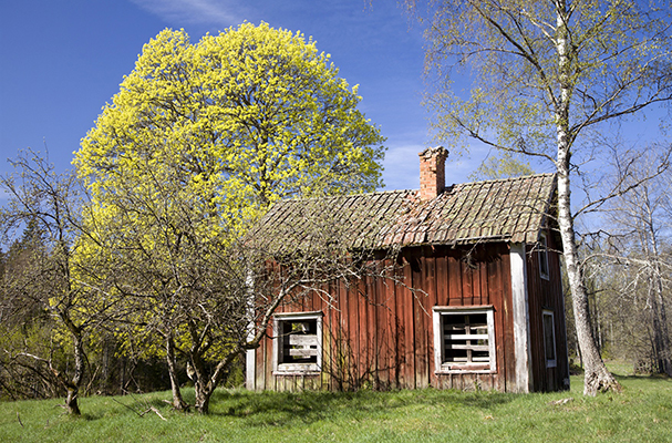 Städ- och fixdag i våra områden